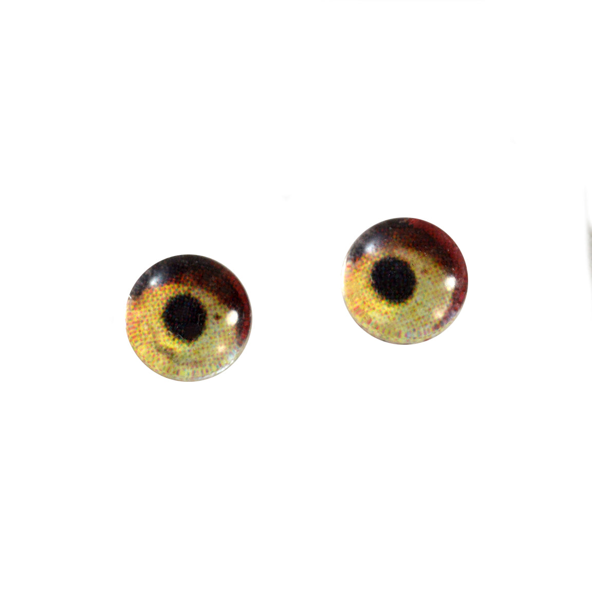 High Domed Vulture Bird Glass Eyes – Handmade Glass Eyes