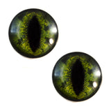 Green Alligator Glass Eyes