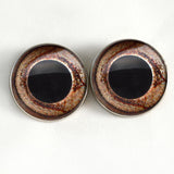 Sew on Buttons Bearded Dragon Glass Eyes