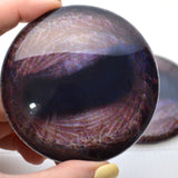Large 78mm Bison Glass Eyes