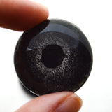 Black Bird Glass Eye