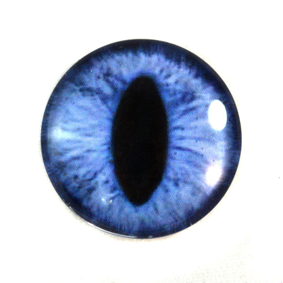 Blue Cat Glass Eye