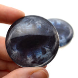 Dark Blue and Black Horse