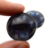 Blue and Black Horsee