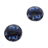 Dark Blue and Black Horse
