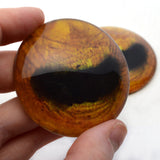 Golden Yellow Horse eyes