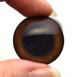 Grizzly Bear Brown Glass Animal Eyes