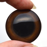 Grizzly Bear Brown Glass Animal Eye