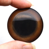 Grizzly Bear Brown Glass Animal Eyes