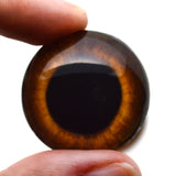 Brown Rabbit Hare Glass Eye