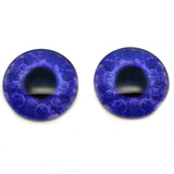 Jewel Tone Dark Blue Human Glass Eyes