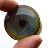 Leopard Glass Eyes