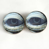 Lidded Green Sea Turtle Sew on Eyes