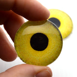 Light Yellow Owl Realistic Bird Glass Eyes