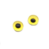 Light Yellow Owl Realistic Bird Glass Eyes