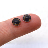 Medium Brown Taxidermy Deer Glass Eyes with White Bands