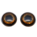 Medium Brown Dog Glass Eyes