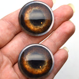 Medium Brown Dog Glass Eyes