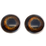 Medium Brown Dog Glass Eyes