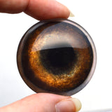 Medium Brown Dog Glass Eye