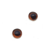 Brown Monkey Glass Eyes