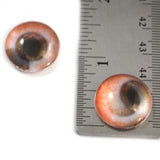 Moving Brown Eyeballs Animated Glass Eyes