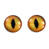 Creamy Orange Cat Glass Eyes