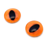 Orange Fox Glass Eyes