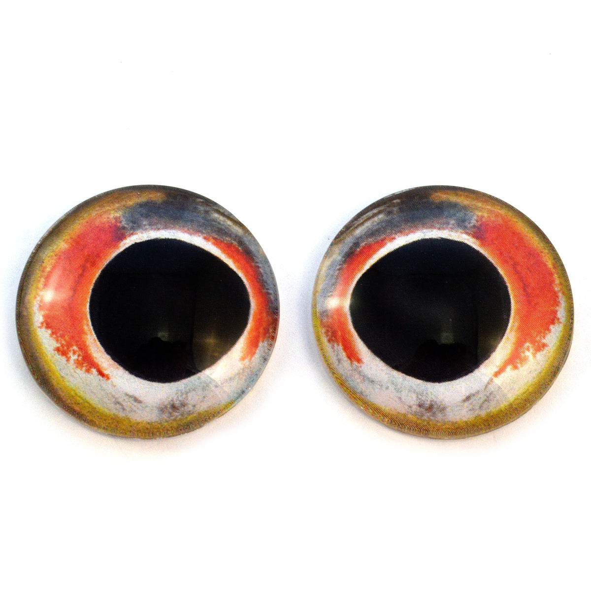 Realistic Bass Fish Glass Eyes Handmade Glass Eyes