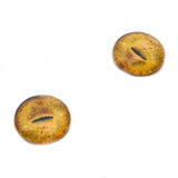 Realistic Tan Cat Glass Eyes