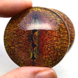 Red Orange Dinosaur Lizard Dragon Glass Eyes