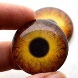 Round Dinosaur Creature Glass Eyes
