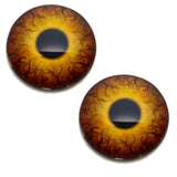 Round Dinosaur Creature Glass Eyes