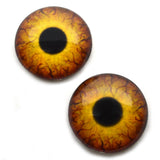Round Dinosaur Creature Glass Eyes