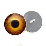 Sew on Buttons Round Dinosaur Glass Eyes