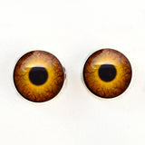 Sew on Buttons Round Dinosaur Glass Eyes