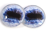 Blue Horse Eyes