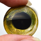 Sockeye Salmon Glass Fish Eyes