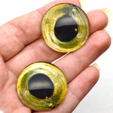 Sockeye Salmon Glass Fish Eyes