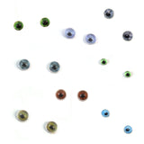 human eye 4mm bundle