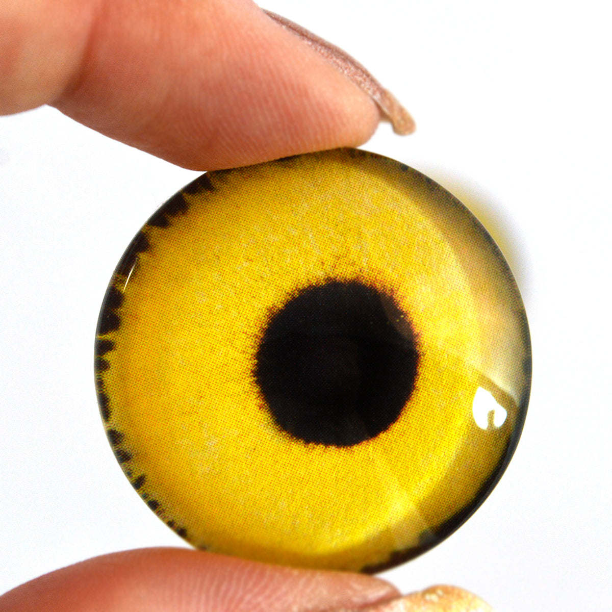 20 Pairs 20mm Owl Bird Human Pupil Glass Eyes for Clay Dolls