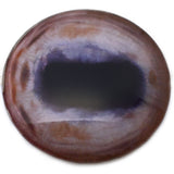 Giant 78mm Light Tan Albino Horse Glass Eyes