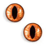 amber cat glass eyes
