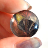 20mm Animated Butterfly Glass Eyes