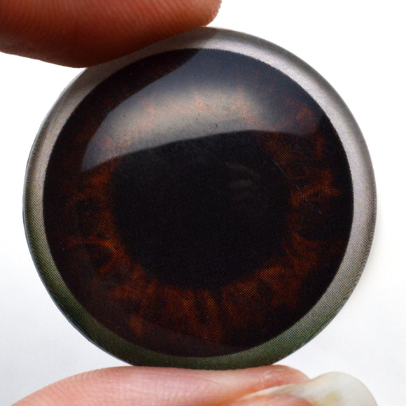 Big Dark Brown Adorable Baby Alien Glass Eyes with Whites