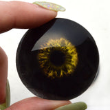 Black and Yellow Zombie Monster Glass Eyes