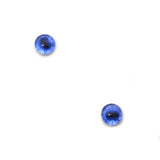 Blue Fox Glass Eyes