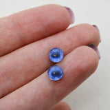 Blue Fox Glass Eyes