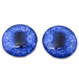 Blue Fox Glass Eyes