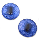 Blue Fox Glass Eyes